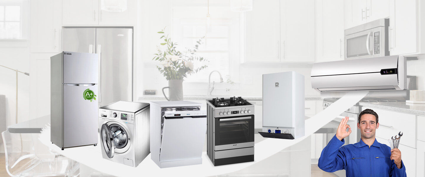 Ceyhan Electrolux Servisi